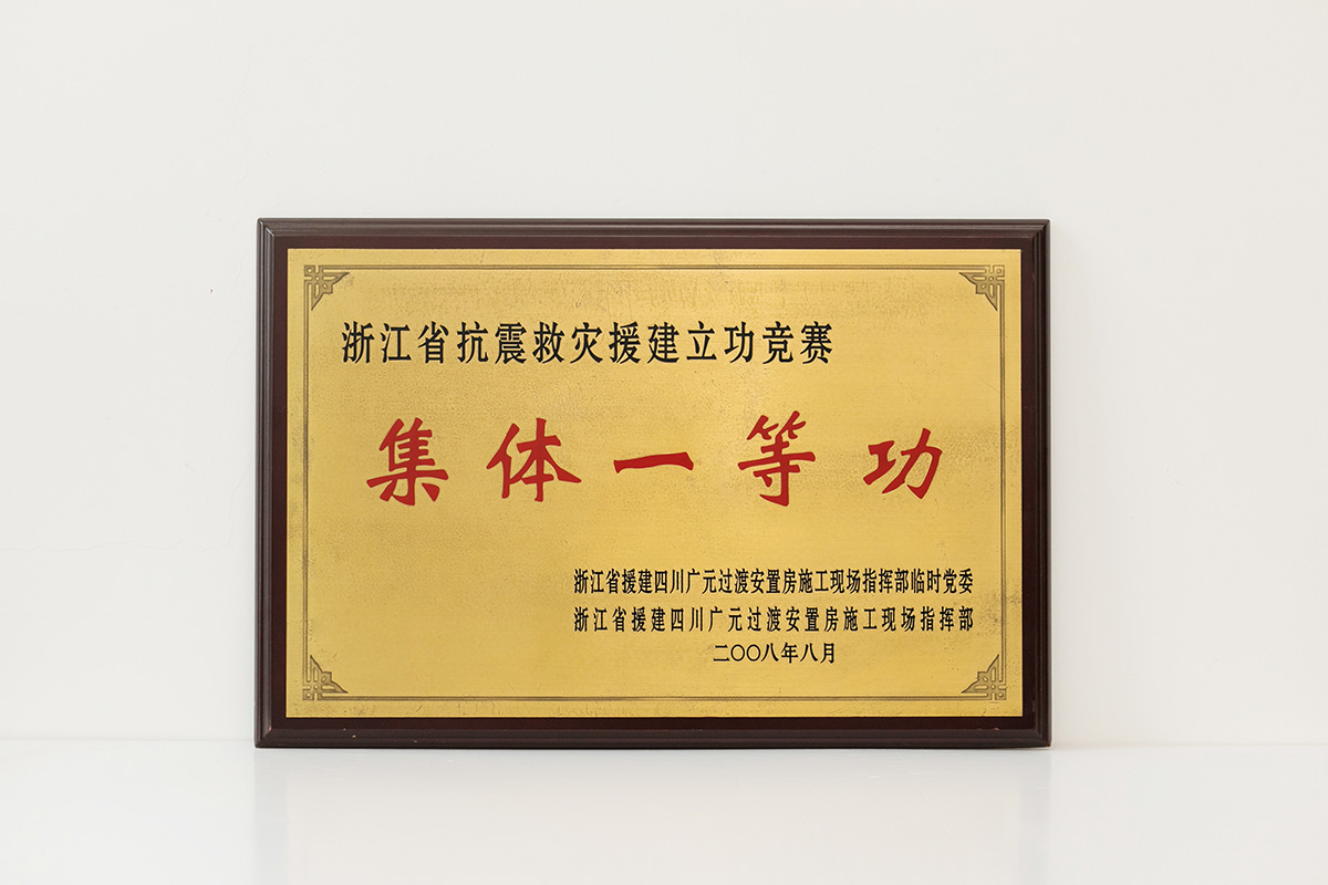 2008年浙江省抗震救災援建立功競賽集體一等功